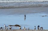 20120314-AJS_8739.jpg